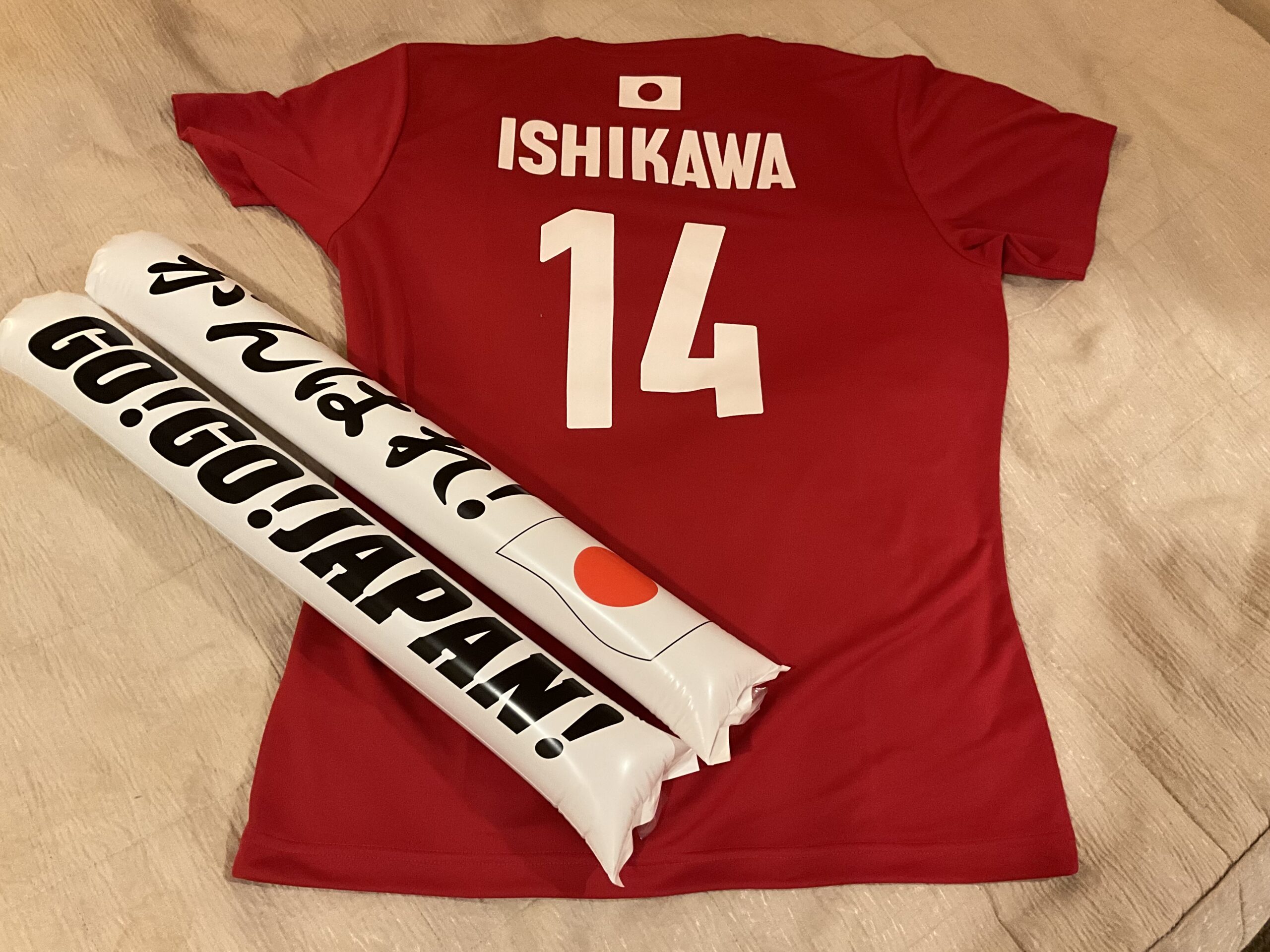 男子バレボールネーションズリーグ