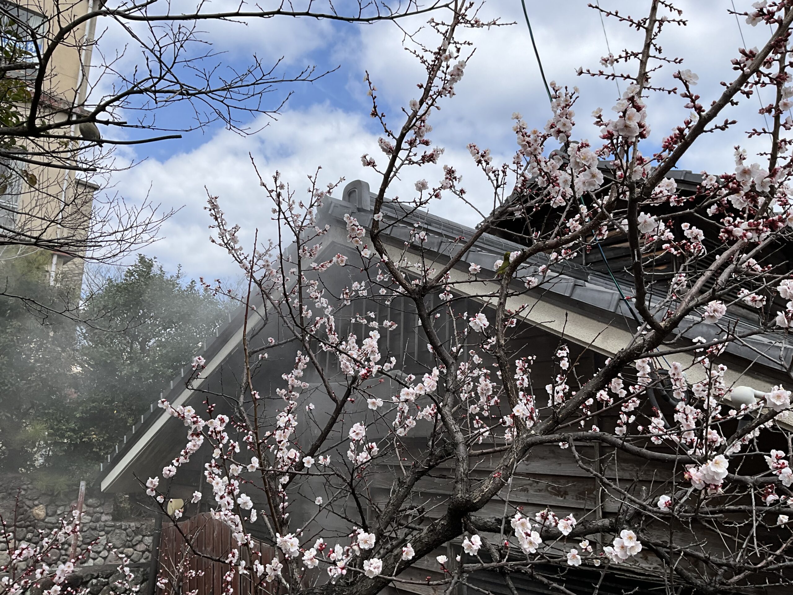 Beppu Kannawa Onsen,Oita prefecture!!